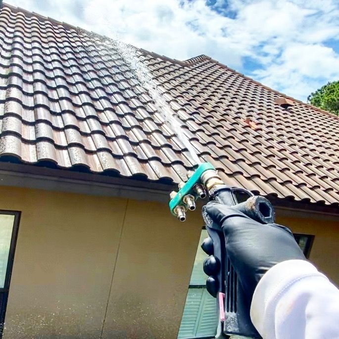 Roof cleaning