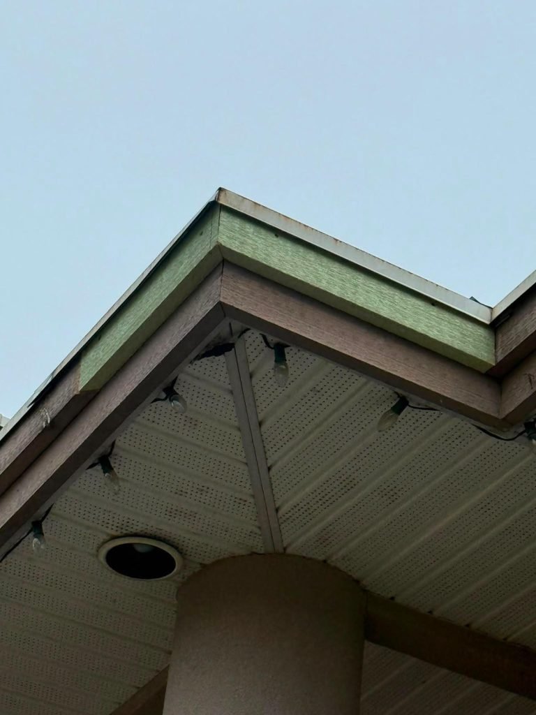 Roof soffit and fascia detail